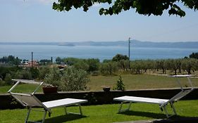 Poggio Delle Api